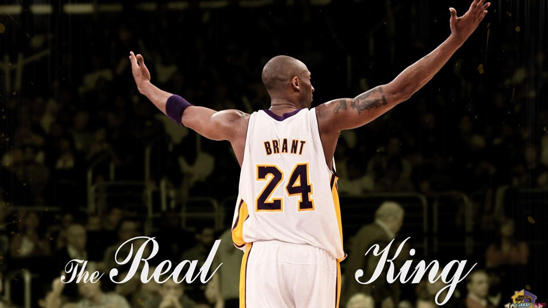 富勒姆中场组织活跃，白百合冲击升级，富勒姆首发